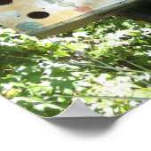 Poster Birdhouse (Coin)