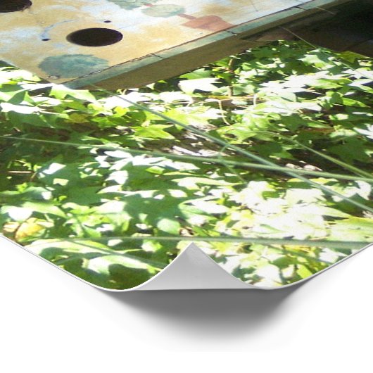 Poster Birdhouse (Coin)