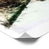 Poster Birdhouse (Coin)