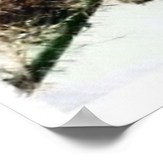 Poster Birdhouse (Coin)