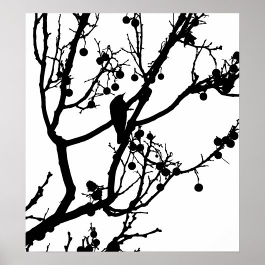 Poster Birdie 4 (Devant)