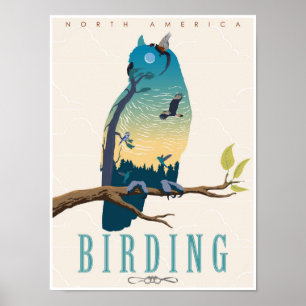 Poster Birding en Amérique du Nord