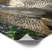 Poster Birdman Wai ... Nong Khai, Isaan, Thaïlande (Coin)