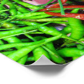 Poster Bird's Eye Chili Peppers (Coin)