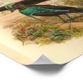 Poster Birds of Paradise Green Blue Vintage Print (Coin)