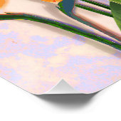 Poster Birds of Paradise in Bloom (Coin)