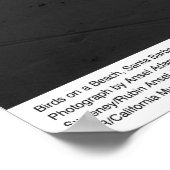 Poster Birds on a Beach, Père Noël Barbara, 1966 (Coin)