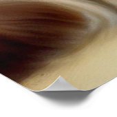 Poster Birman Cat (Coin)