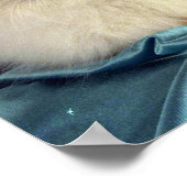 Poster Birman, point rouge (Coin)