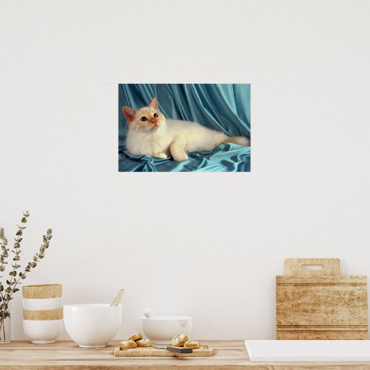 Poster Birman, point rouge (Cuisine)