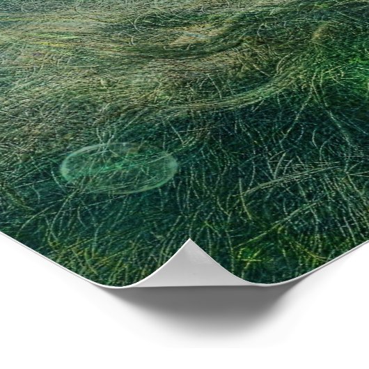 Poster Biscuit marin (Coin)