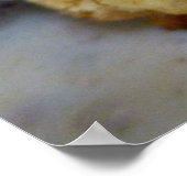 Poster Biscuits et gravures (Coin)