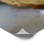Poster Biscuits et gravures (Coin)