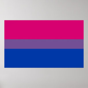 Poster Bisexual pride