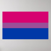 Poster Bisexual pride (Devant)