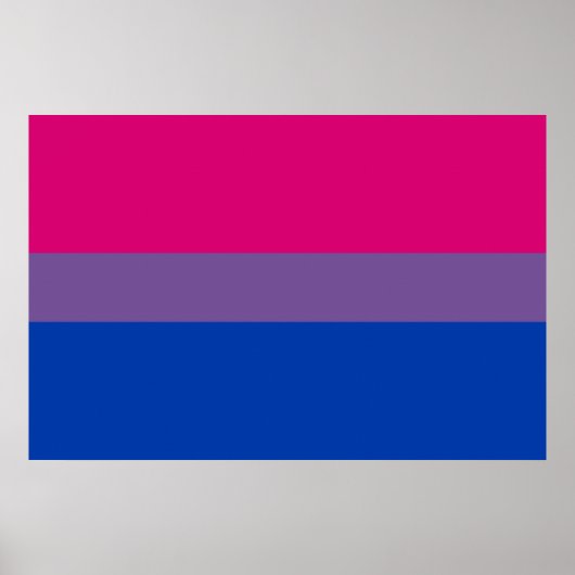 Poster Bisexual pride (Devant)