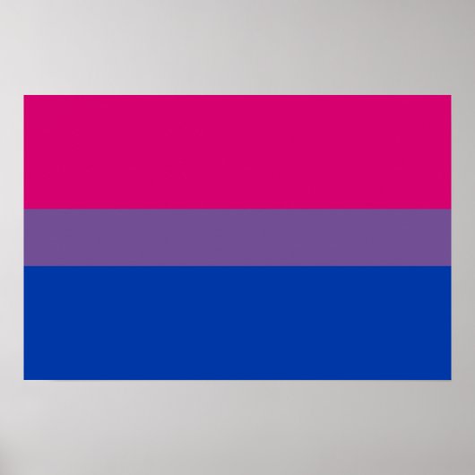 Poster Bisexual pride (Devant)