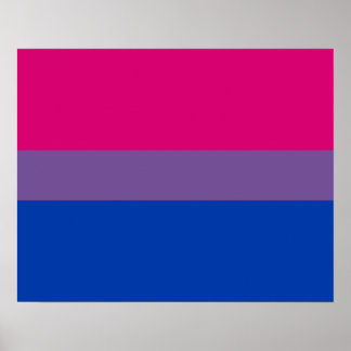 Poster Bisexualité drapeau