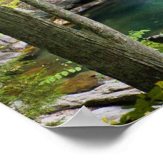 Poster Bish Bash Falls in Bish Bash Falls State Park (Coin)