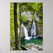 Poster Bish Bash Falls in Bish Bash Falls State Park (Devant)