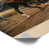 Poster Bismarck et Napoléon (Coin)