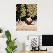 Poster Bison (Bureau à domicile)