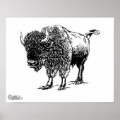 Poster Bison (Devant)