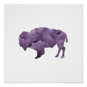 Poster Bison