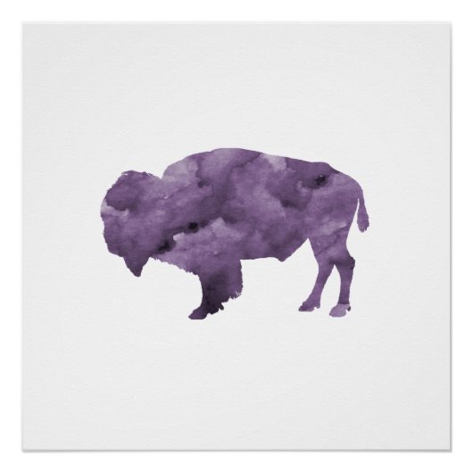 Poster Bison (Devant)