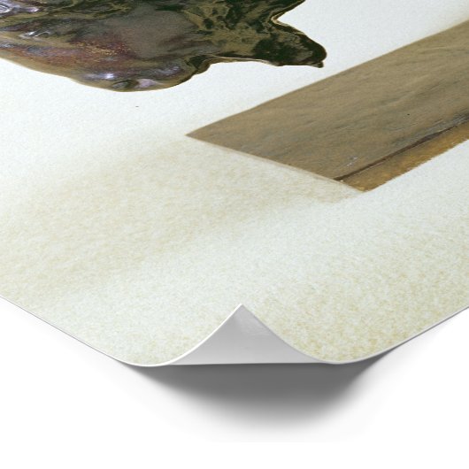 Poster Bison, 1907 (Coin)