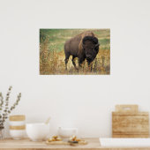 Poster Bison américain (Cuisine)