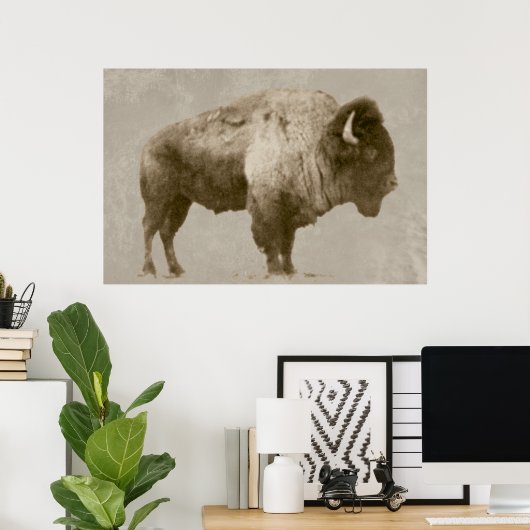Poster Bison américain (Bureau à domicile)