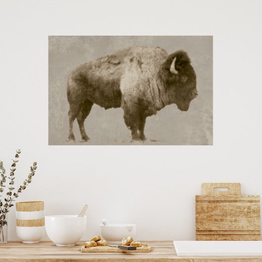 Poster Bison américain (Cuisine)