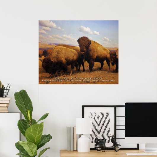 Poster bison américain (Bureau à domicile)