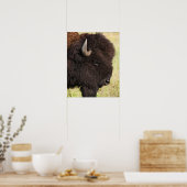 Poster Bison américain, Dakota du Sud (Cuisine)