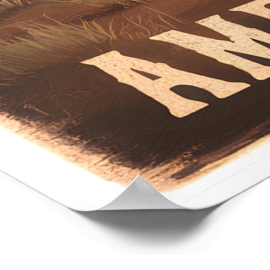 Poster Bison américain dans le désert (Coin)