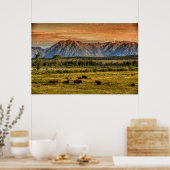 Poster Bison au lever du soleil (Cuisine)