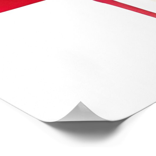 Poster Bison avec drapeau des États-Unis d'Amérique (Coin)