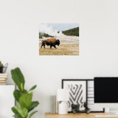 Poster Bison avec la vieille foi à Yellowstone (Bureau à domicile)