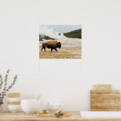Poster Bison avec la vieille foi à Yellowstone (Cuisine)
