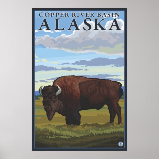 Poster Bison - Bassin de la rivière du cuivre, Alaska (Devant)