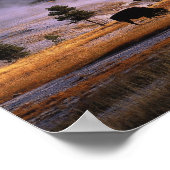 Poster Bison broutant dans le bassin supérieur de Geyser  (Coin)