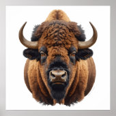 Poster Bison / Buffalo (Devant)