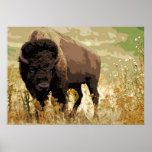 Poster Bison Buffalo American Pop Art<br><div class="desc">Images historiques de l'Ouest américain - Photographie de Buffalo</div>