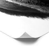 Poster Bison Buffalo moderne Portrait noir blanc (Coin)