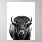 Poster Bison Buffalo moderne Portrait noir blanc (Devant)