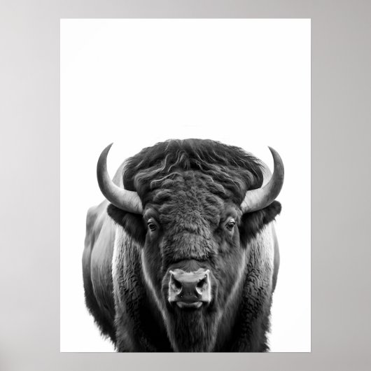 Poster Bison Buffalo moderne Portrait noir blanc (Devant)