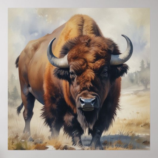 Poster Bison / Buffle (Devant)