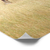 Poster Bison Bull dans le parc national de Yellowstone (Coin)