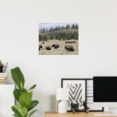 Poster Bison dans la vallée Hayden de Yellowstone (Bureau à domicile)